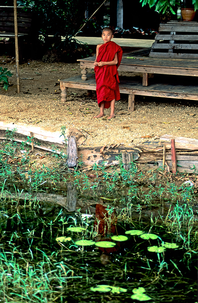 Young monk stands by water in Myanmar during daytime Digital Download
