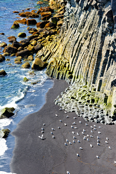 Exploring arnarstapi cliff and beach in iceland Digital Download