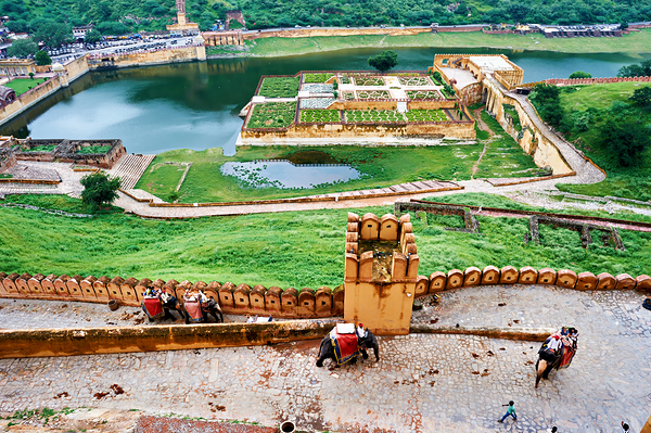 Exploring Amber Palace in Rajasthan with visitors and elephants Digital Download