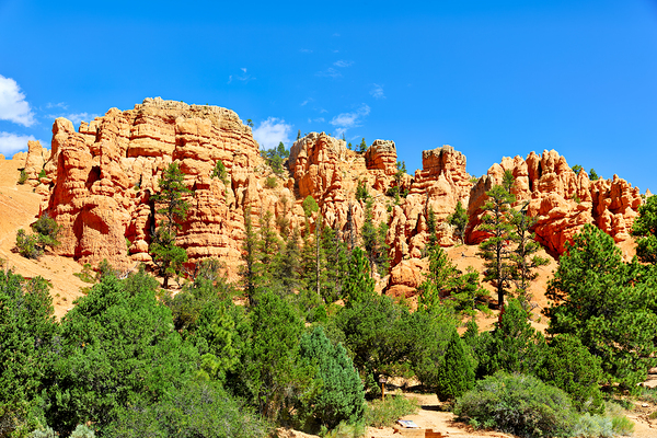 Scenes from Dixie National Forest in Utah during daytime Digital Download