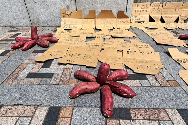 Red potatoes on display for sale in Tokyo market area Digital Download
