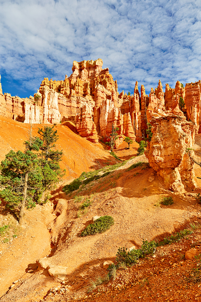 Explore queens garden in bryce canyon national park Digital Download