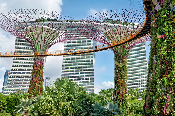 People walk on bridge connecting to Supertree Grove in Singapore Digital Download