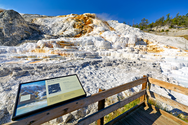 Visit to devils thumb in yellowstone national park Digital Download