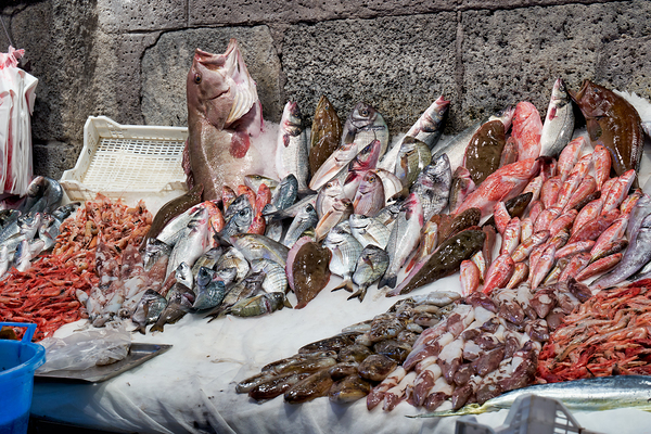 Fresh seafood display at Piscaria market in Catania Sicily Digital Download