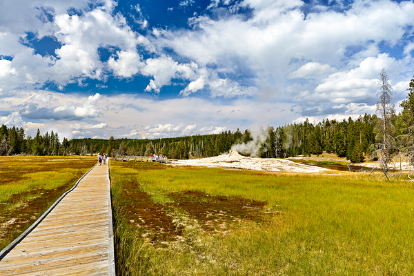 Visitors stroll the Upper Geyser Basin boardwalk Digital Download