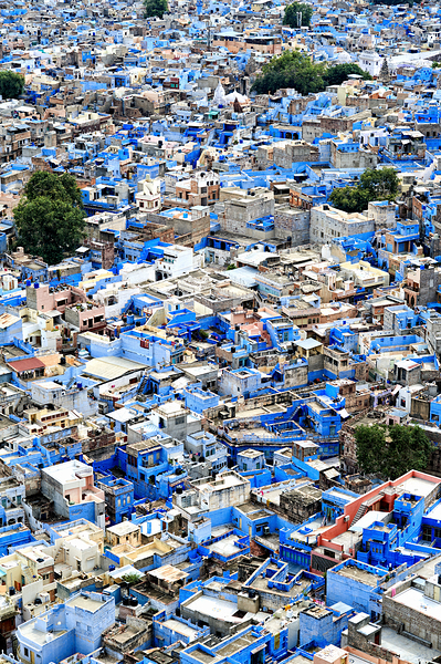 Cityscape of blue houses in Jodhpur Rajasthan during the aftern Digital Download