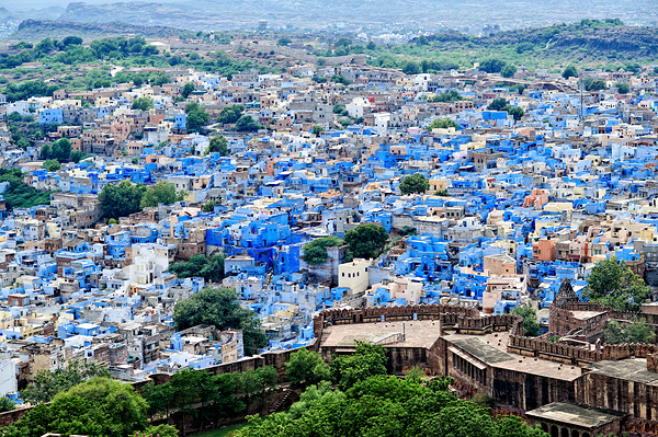 Cityscape view of blue buildings in Jodhpur Rajasthan Digital Download