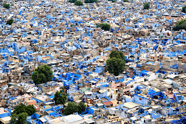 Cityscape view of blue houses in Jodhpur Rajasthan in India Digital Download