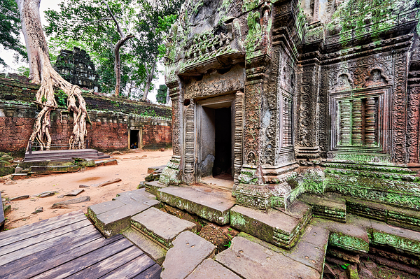Angkor temple ruins consumed by nature. Digital Download