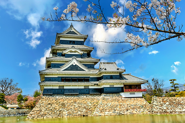 Matsumoto Castle during cherry blossom season in Japan Digital Download
