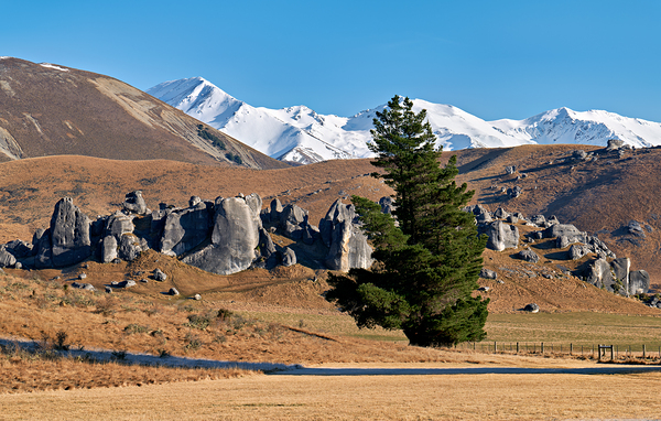 View of southern alps and castle hill in new zealand Digital Download