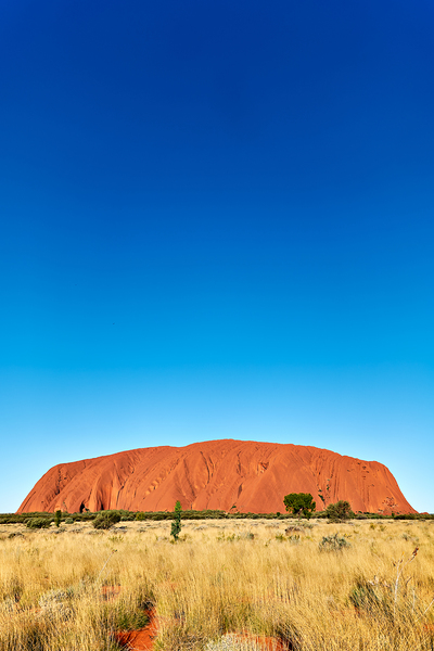 Uluru monolith under a clear blue sky. Digital Download