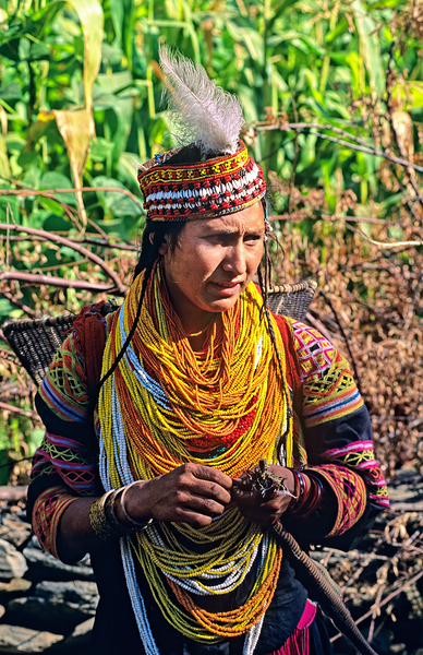 Life in kalash village of bumburet valley in pakistan Digital Download