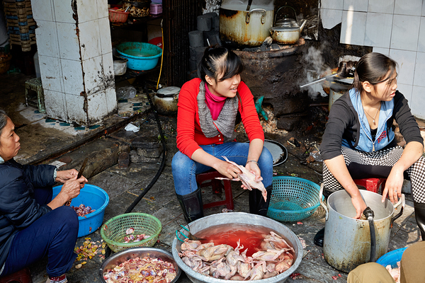 Women preparing fish in a market in Hanoi Vietnam Digital Download
