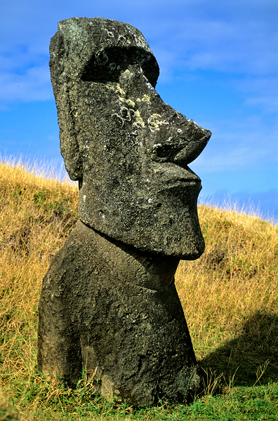 Iconic Moai statue stands tall on Easter Island. Digital Download