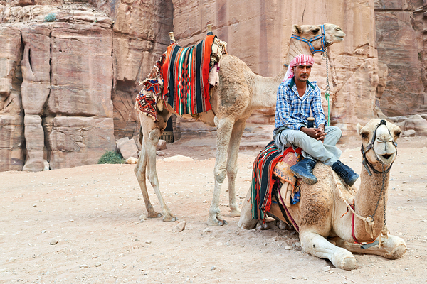 Camels wait for tourists at Petra archaeological site in Jordan Digital Download