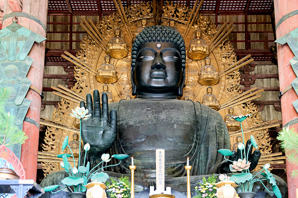 Exploring Todai ji temple with the Great Buddha Hall in Nara Ja Digital Download