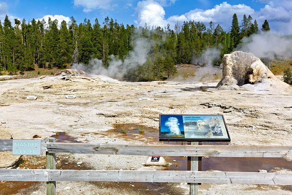 Giant Geyser erupts in Yellowstone National Park during daytime Digital Download