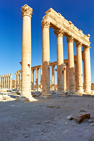 Exploring the ruins of the Temple of Bel in Palmyra Syria Digital Download