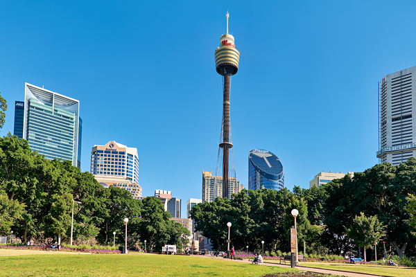 Sydney Tower Eye and surrounding buildings on a clear day. Digital Download
