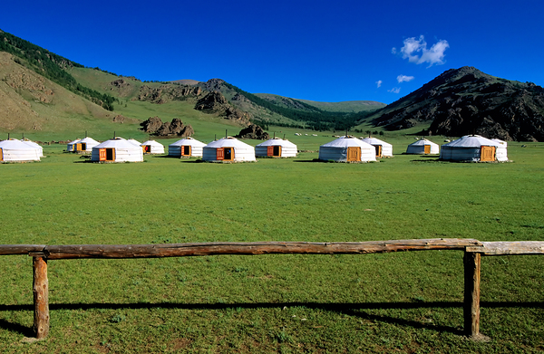 Ger tents in the grassy fields of Mongolia under clear skies Digital Download
