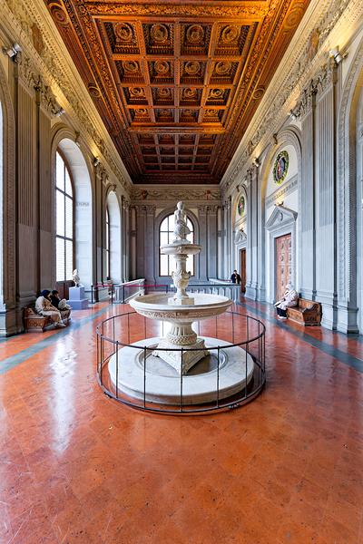 Visit to palazzo pitti palatine gallery in florence tuscany ital Digital Download