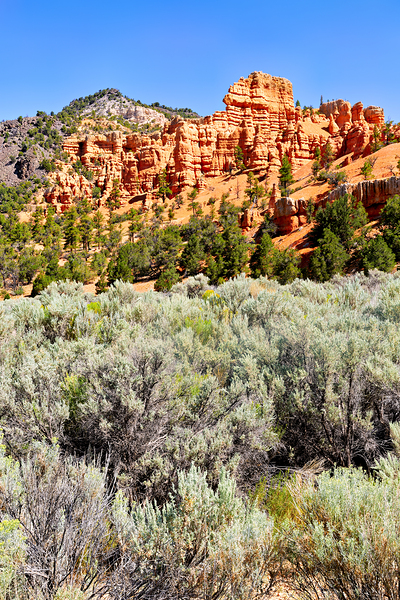 Visit Dixie National Forest in Utah with red rock formations Digital Download