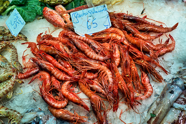 Fresh seafood display at Mercat de Sant Josep in Barcelona Téléchargement Numérique