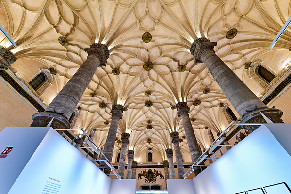 Zaragoza. Saragossa. Aragon. Spain. Sala de Exposiciones La Lonja Digital Download