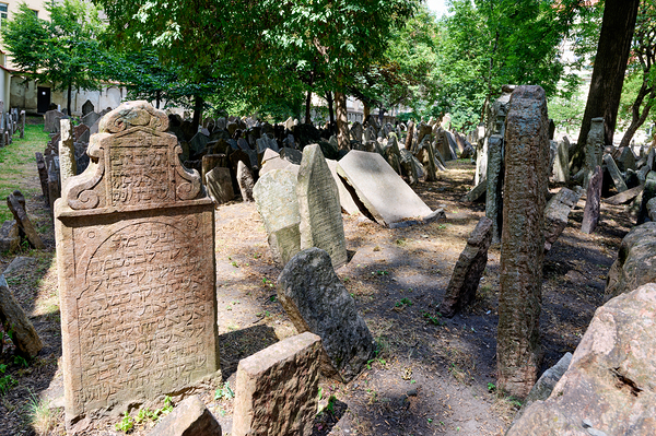 Ancient Jewish cemetery with weathered gravestones and trees. Digital Download
