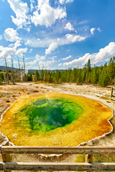 Morning Glory Pool shows colors at Yellowstone National Park Digital Download