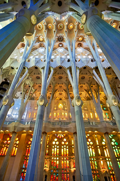 Explore the stunning interior of Basílica de la Sagrada Famíli Digital Download