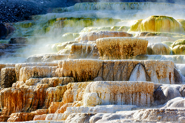 Mound Spring and Jupiter Terrace show unique geothermal features Digital Download