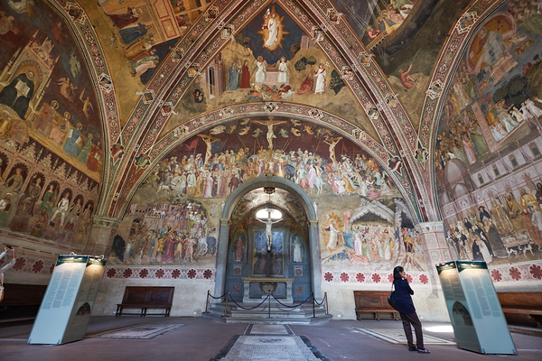 Santa Maria Novella Church in Florence reveals detailed frescoes Digital Download