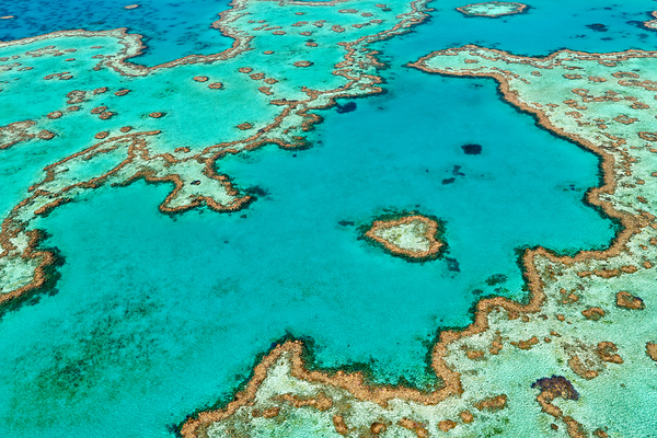 Aerial view of Heart Reef Great Barrier Reef Australia. Digital Download