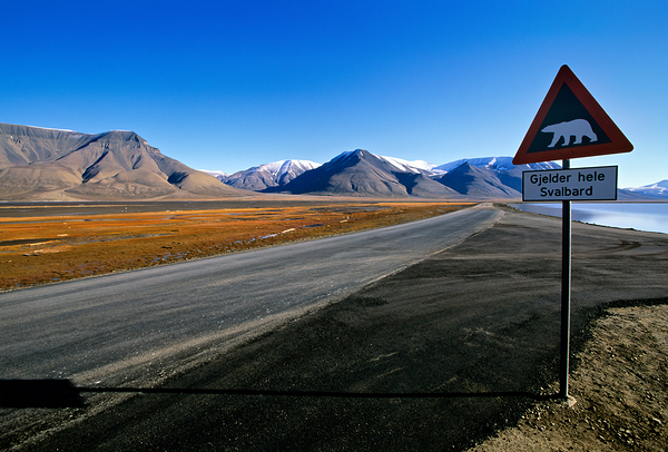 Warning signs for polar bears in Longyearbyen Svalbard Digital Download