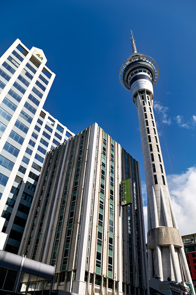 Sky Tower in Auckland showing city buildings and clear sky Digital Download