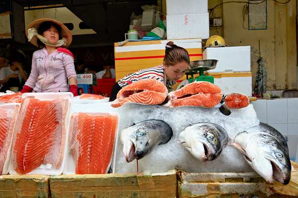 Market scene in Ho Chi Minh with fresh seafood for sale Digital Download
