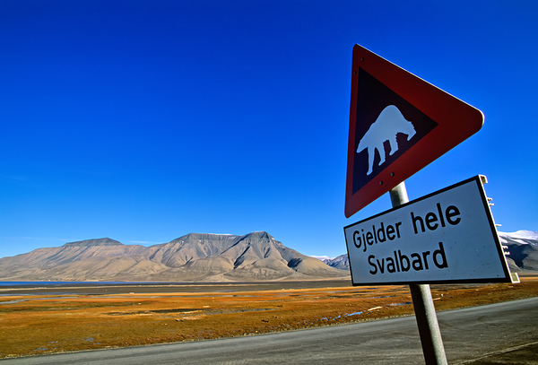 Warning sign for polar bears in Longyearbyen Svalbard Digital Download
