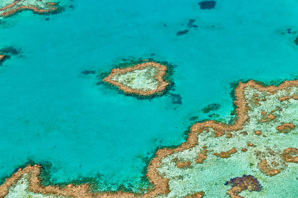 Heart Reef Great Barrier Reef Australia Digital Download