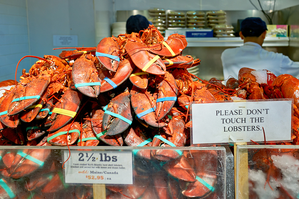 Lobsters are piled high at the Lobster Place Restaurant Digital Download