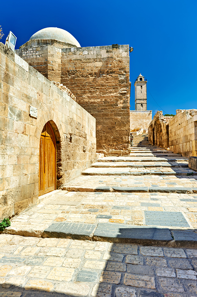 Explore the ancient paths leading up to Aleppo Citadel in Syria Digital Download