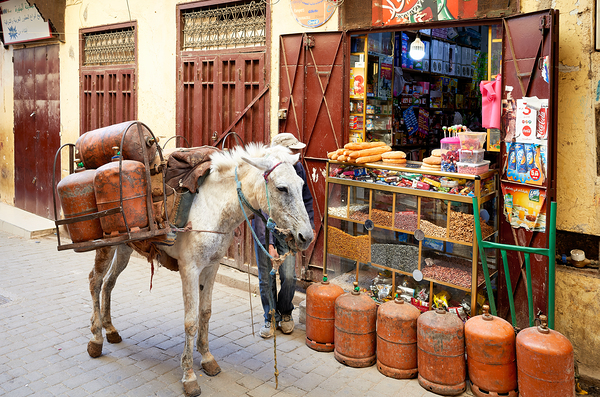 Donkey carrying gas cylinders through Fez Medina streets Digital Download