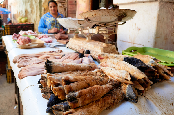 Butcher working in Meknes souk with various cuts of meat Digital Download