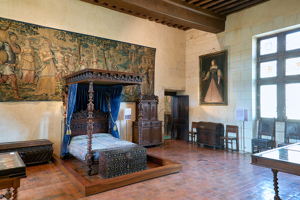 Exploring the interior of Chateau de Chaumont sur Loire in Franc Digital Download