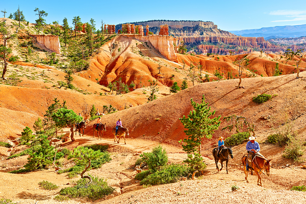 Horseback trip in Queens Garden at Bryce Canyon National Park Digital Download