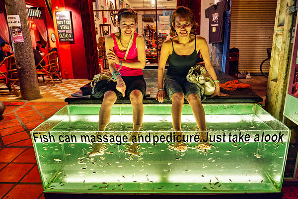 Smiling women enjoy fish foot spa. Digital Download