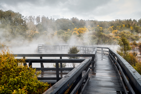 Discover geothermal trails in Whakarewarewa Rotorua Digital Download