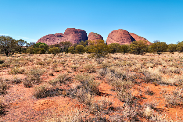 Visit Olgas in Kata Tjuta National Park Australia near Uluru Digital Download
